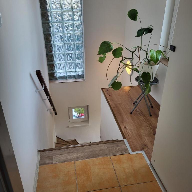 Apartmán ,,Rokytka Praga Exterior foto